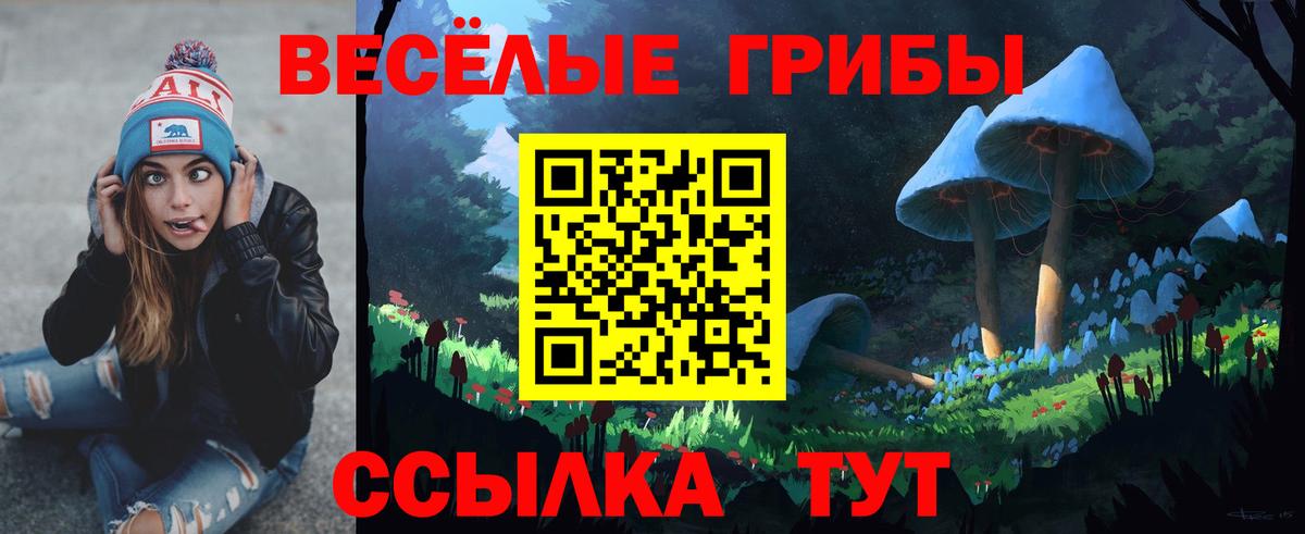 Евпатория  дарнет шоп  Псилоцибиновые грибы мицелий  Вход с VPN  Псилоцибиновые грибы Magic Shrooms 